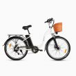 F200 Folding Electric Bike